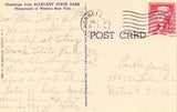 Greetings from Allegany State Park - New York Linen Postcard Back