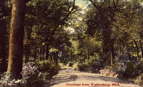 Greetings from Waldenburg,Michigan Postcard