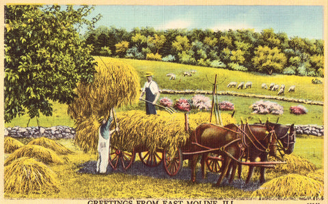 Retro Postcard Greetings from East Moline,Illinois