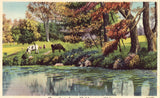 Greetings from Coldwater,Ohio Linen Postcard