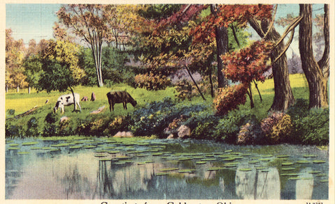 Greetings from Coldwater,Ohio Linen Postcard