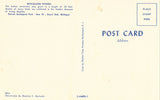 Reticulated Python - Detroit Zoological Park - Royal Oak,Michigan Retro Postcard Back