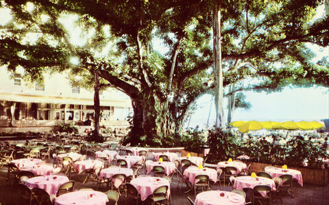 Banyan Court at Moana Hotel - Lanai,Hawaii Vintage Postcard