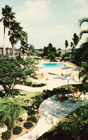 Holiday Inn - Tampa,Florida Old Postcards