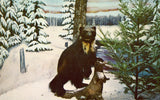 Wolverine at Underground Forest - Frederic,Michigan Vintage Postcard