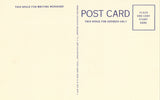 Nepessing Street - Lapeer,Michigan Linen Postcard - Buy Michigan Postcards