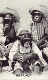 Funny Postcard - 3 Monkeys Dressed as Humans.Buy vintage postcards