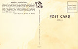 Cellar,Berkeley Plantation - Virginia Retro Postcard Back