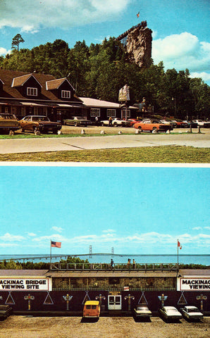 Castle Rock and Souvenir Barn in St. Ignace,Michigan Vintage Postcard