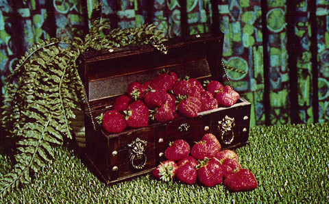 Box of Strawberries,Plant City,Florida Vintage Postcard