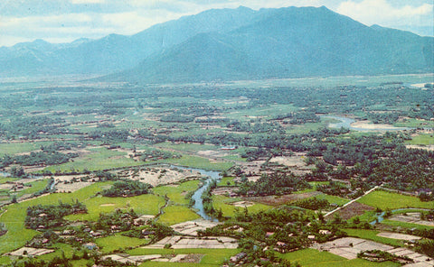 Aerial View of Viet-Nam,central area vintage postcard
