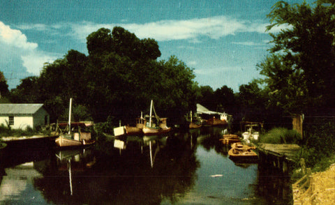 Vintage Postcard - Bayou Shrimp Boats