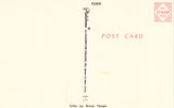 Vintage Postcard - "Send Me A Postcard Too" - Woman at Mailbox.postcard back