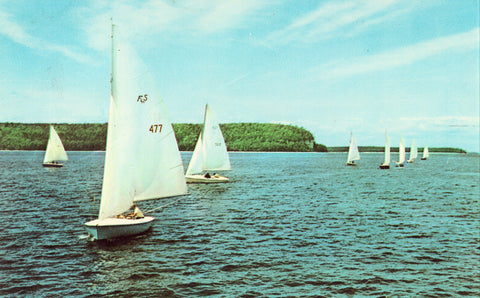 Vintage Postcard front - Sailing Regatta - Door County,Wisconsin