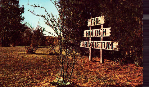 The Holden Arboretum - Kirtland,Ohio front of vintage postcard