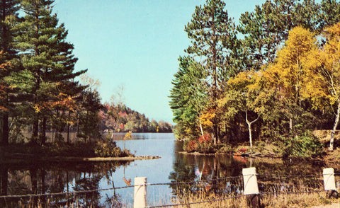 Mill Cove - Bryant Pond,Maine vintage postcard front.Buy postcards here.