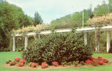 Keesling Gardens near Bluefield,West Virginia.Front of vintage postcard