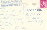 Vintage Postcard of A Herd of Elk.Back of postcard.Buy postcards here