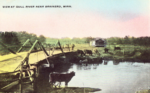 View at Gull River near Brainerd,Minnesota Postcard