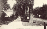 Locust Street - Momence,Illinois old postcard front
