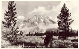 Early Morning,Mt. Moran  - Wyoming.Front of real photo postcard