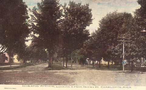 Horatio Avenue,looking North from Henry St. - Charlotte,Michigan.Old postcard front