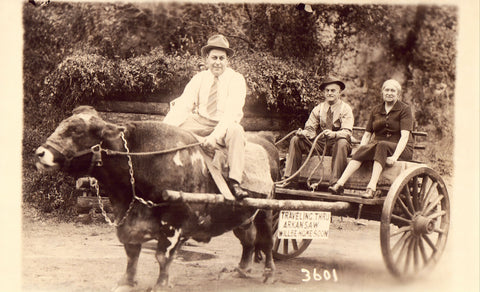 Man and Woman Riding in Cow Pulled Cart - Arkansas Photo postcard front