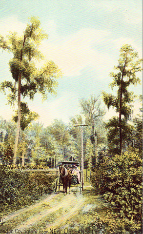 Road in Covington near New Orleans,Louisiana Tuck's Postcard