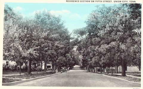 Residence Section on Fifth Street - Union City,Tennessee.Collectible Postcards For Sale.Postcard front view