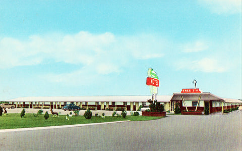 Front view of vintage postcard.Woody's Motel - Daphne,Alabama