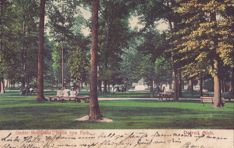 Under The Oaks-Belle Isle Park-Detroit,Michigan 1905 - Cakcollectibles - 1