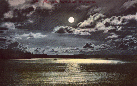 Vintage Postcard Front.Moonlight,Puget Sound - Washington