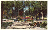 Pecks Park,Point Firmin - San Pedro,California.Vintage Postcard Front