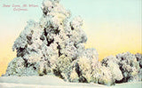 Snow Scene - Mt. Wilson,California Vintage postcard front