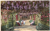 Vintage Postcard Front - Wisteria and Rose Arbor - California