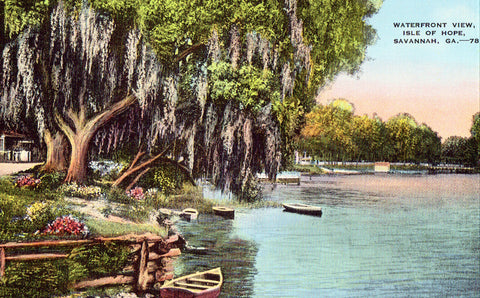 Waterfront View,Isle of Hope - Savannah,Georgia.Vintage postcard front