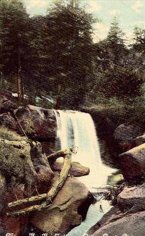 Minne-Ha-Ha Falls on Pikes Peak,Colorado.Vintage Postcard Front