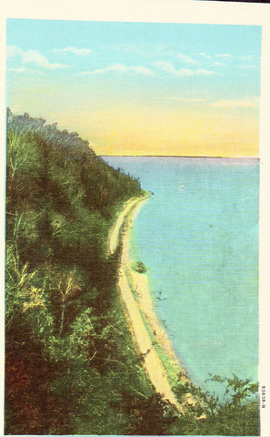 Linen postcard front North Boulevard from Arch Rock -Mackinac Island,Michigan