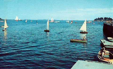Vintage postcard front Boats on Outer Harbor,Camden,Maine