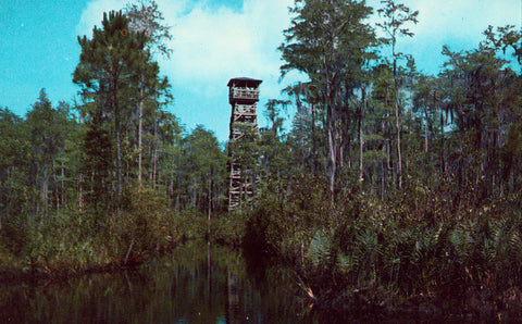 Observation Tower,Okefenokee Swamp Park - Waycross,Georgia