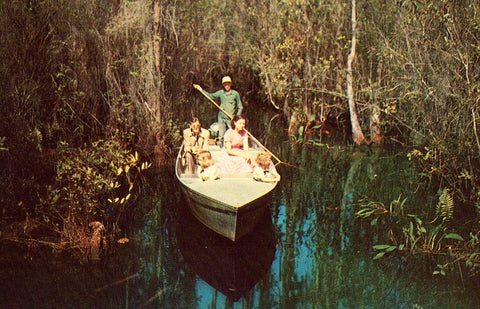 Vintage postcard front.Guide Boat on Okefenokee Swamp Park - Waycross,Georgia