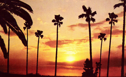 Vintage Postcard - A California Sunset