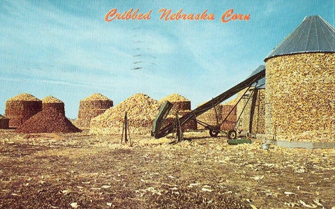 Vintage Postcard Front - Cribbed Corn in Nebraska