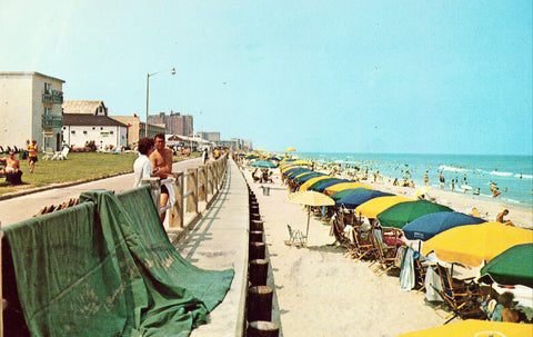 Vintage postcard front Sun Bathers Enjoying the Sun - Virginia Beach,Virginia