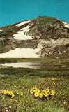 Vintage postcard front An Alpine Lake near The Continental Divide in Rocky Mountain National Park - Colorado