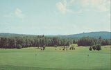 View of Fairways at Wilson Lake Country Club-Wilton,Maine