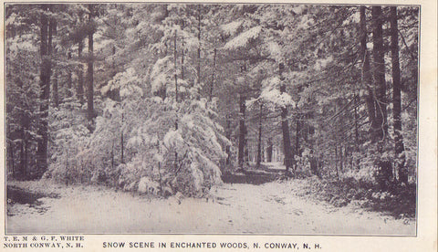 Snow Scene in Enchanted Woods-North Conway,New Hampshire - Cakcollectibles - 1
