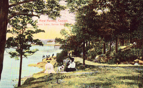 Vintage postcard front Lovers Lane,Savon Rock Park - New Haven,Connecticut