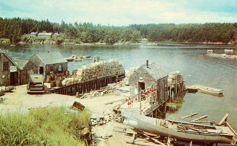 A Typical Maine Fishing Village Vintage Postcard Front