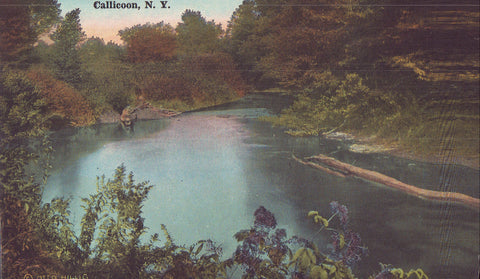 View of River-Callicoon,New York 1940 - Cakcollectibles - 1